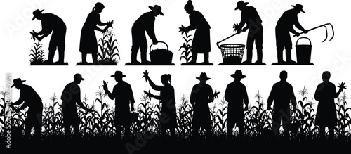 Corn harvest, agriculture, silhouette, worker, posture, gesture, setup, vector, pose, flavector, minimal, technical, flat, rural, manual, crop, bundle, farming, cad drawing flat vector