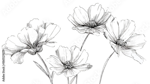 Exquisite Drawing of Flowers Collection with Person Vector Graphics