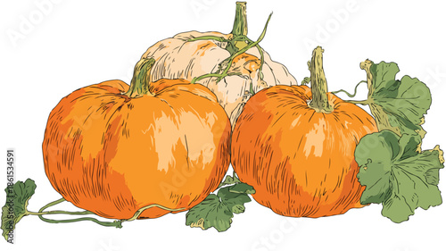 Vibrant Pumpkin with Several Oranges Pumpkins on Top Vector Illustration
