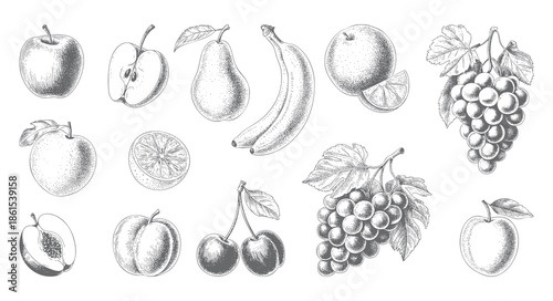 Vintage botanical fruit collection illustrated in classic engraving style.
