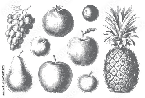 Vintage botanical fruit collection illustrated in classic engraving style.