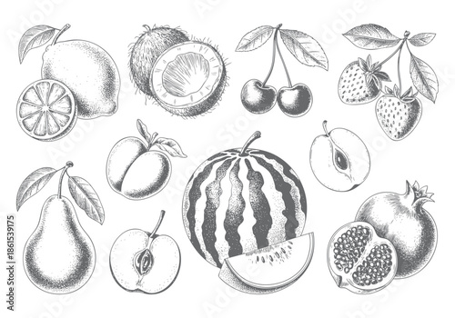 Vintage botanical fruit collection illustrated in classic engraving style.
