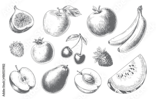 Vintage botanical fruit collection illustrated in classic engraving style.
