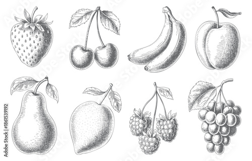 Vintage botanical fruit collection illustrated in classic engraving style.