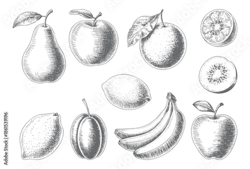 Vintage botanical fruit collection illustrated in classic engraving style.