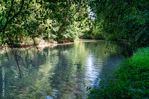 Calm Forest River in Rusenski Lom Nature Park