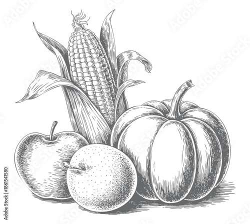 Classic harvest vegetables and fruits in vintage botanical engraving style.