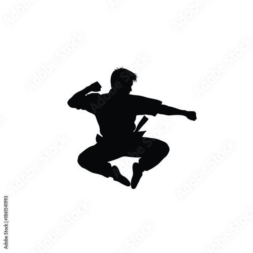 Martial arts silhouette of a person jumping in a fighting stance