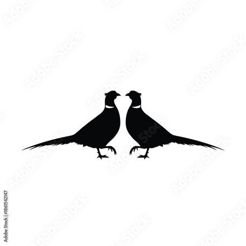 Two black birds facing each other in elegant silhouette