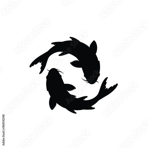 Two koi fish swimming together in circular motion silhouette