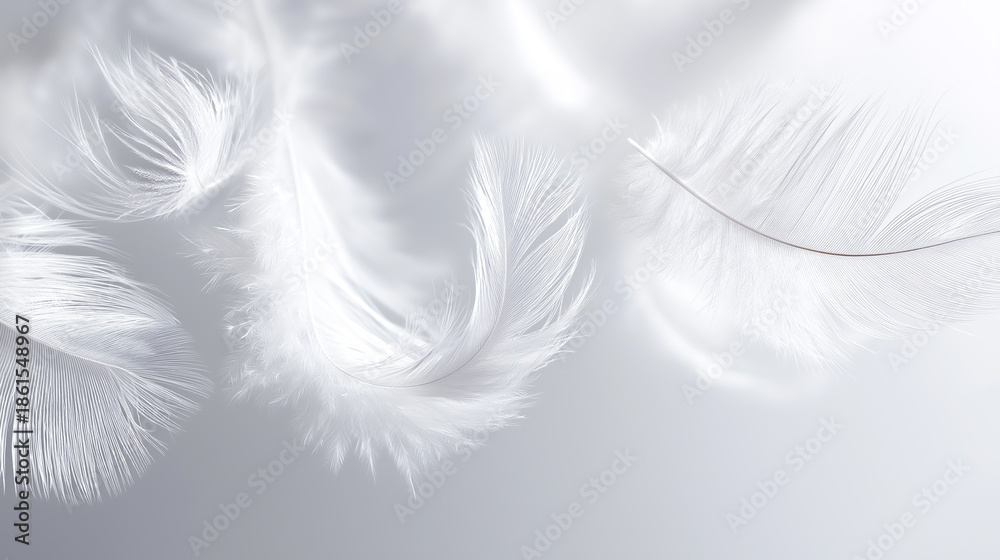 Obraz premium Soft white feathers floating together creating light and delicate abstract texture. 