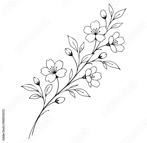 Black and White Flowering Branch Illustration with Blossoms, Buds and Leaves