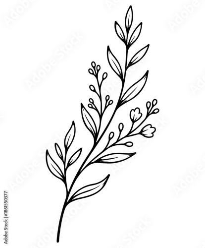 Black and White Botanical Line Drawing with Branch, Leaves and Buds