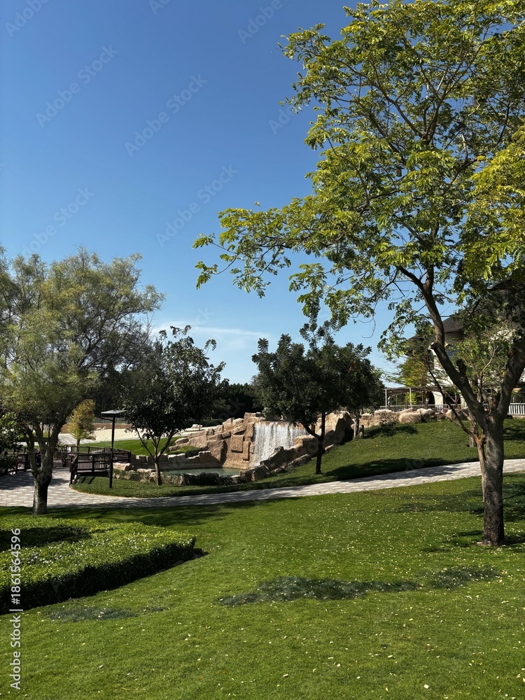 Fototapeta premium Sunny day in a park with green grass, trees, a small waterfall, and walkways. Blue sky above.