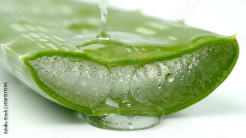 Close-up of a cut aloe vera leaf with droplets of liquid. Gel is oozing, highlighting texture