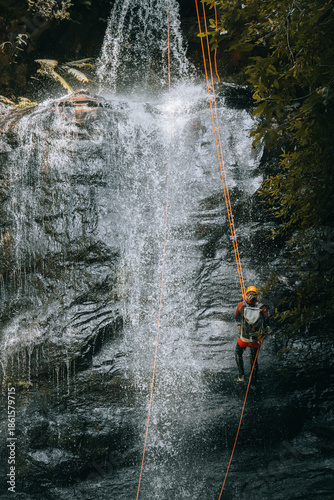 waterfall in the forest