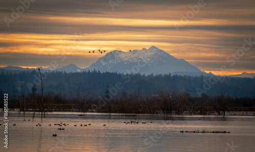 The Fir Island Farm Reserve is a Game Reserve with over 200 acres of restored intertidal estuary and managed agricultural land in southwest Skagit County.
