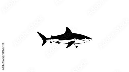 A black and white illustration of a shark on a white background.