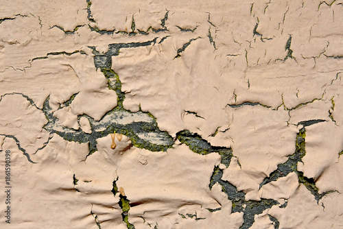 Cracked paint abstract 