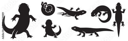 Collection of black silhouettes of salamanders in various poses and movements on a white background.