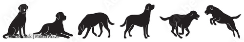 Collection of black dog silhouettes in various poses, including sitting, lying down, sniffing, standing, running, and jumping.