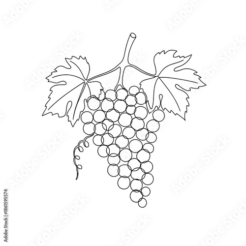 Grape bunch with leaves in line art style for Trifon Zarezan and wine culture visuals