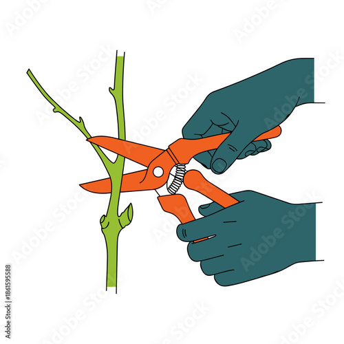 Hands pruning grapevine with orange shears in colorful icon style for Trifon Zarezan and vineyard care visuals
