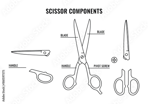 Scissor components drawing diagram instruction manual parts cut blade pivot screw and handle vector