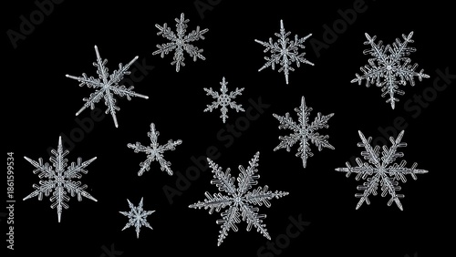 Collection of unique snowflakes on black background