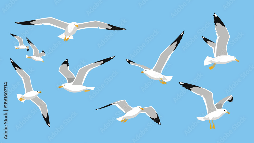 Fototapeta premium Flock of seagulls flying in the sky