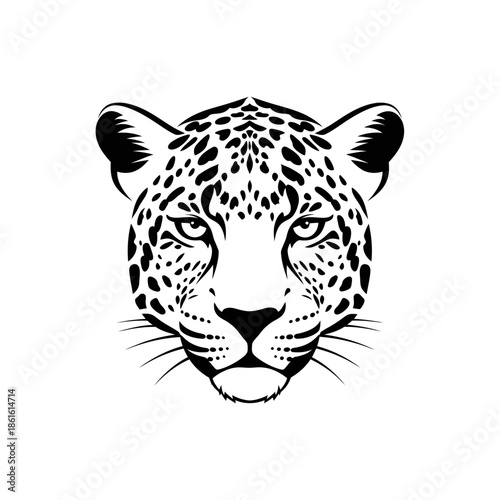 A striking black and white illustration of a jaguar s face detailed and focused