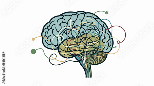 Detailed illustration of a human brain with neural connections