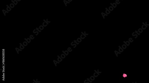 桜の花びらが一枚落ちる動画、アニメーション。