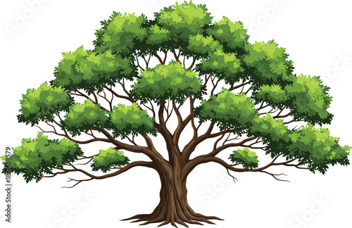 Large green tree with wide canopy vector illustration isolated on white background for nature landscape design ecology concepts