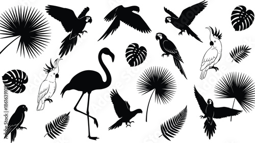 Tropical birds and palm leaves silhouettes set, exotic jungle animals and plants collection, cad drawing flat vector illustration