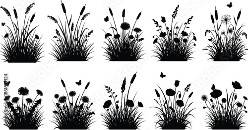 Wildflowers and meadow grass clumps silhouette set, black cattail reeds and butterfly collection, isolated nature vector illustration design
