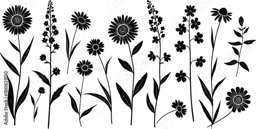 Wildflowers and meadow plants silhouette set, black floral collection with daisy and chamomile, isolated botanical nature vector illustration design