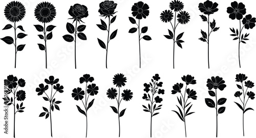 Set of black flower silhouettes, floral stems vector collection, roses sunflowers daisies, nature botanical icons, cad drawing flat vector illustration
