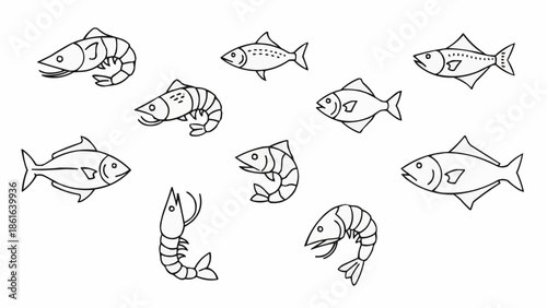 Collection of hand drawn fish and shrimp illustrations simple line art.