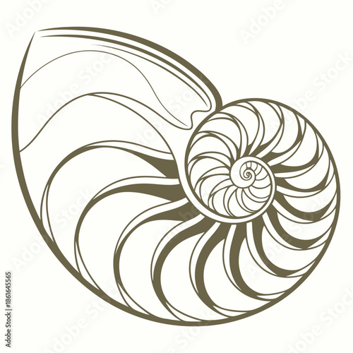 Luxury Abstract Pearl Shapes with Glossy Finish