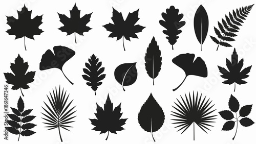 Collection of various autumn leaf silhouettes isolated on white background.