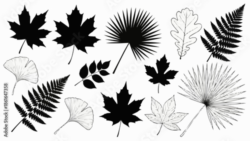 Collection of various autumn leaves and plant silhouettes.