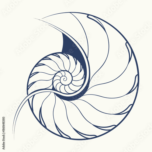 Minimalist Spiral Shell Curve Clean Abstract Graphic
