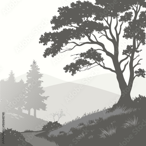 Soft Abstract Fog Layers, Dreamy Atmosphere, Ethereal