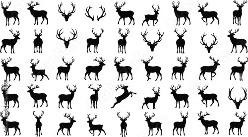 Black deer silhouette collection with majestic antlers, buck stags in various poses, hunting trophy icons, wildlife animal silhouettes set on white.