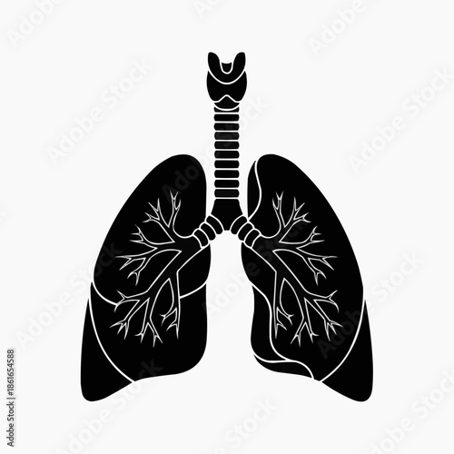 A detailed illustration of human lungs and trachea in medical context