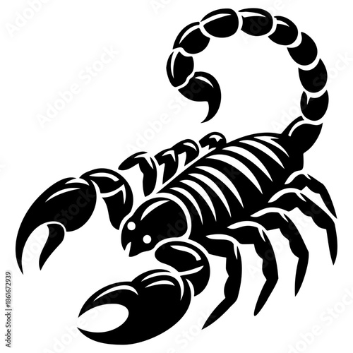 Sorpion Sketch Drawing.