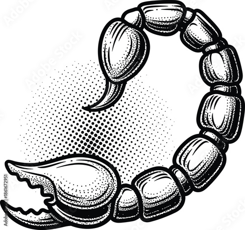 Retro engraving style scorpion tail and pincer black and white vector art Halftone dot shading dangerous desert creature illustration