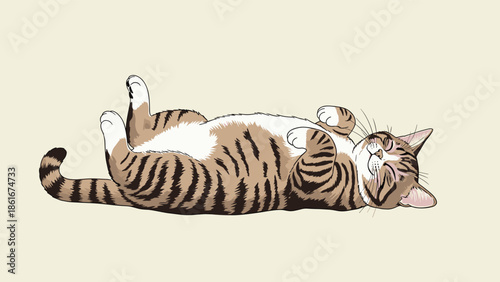 Cute tabby cat with white belly sleeping peacefully on its back with its paws up isolated on a cream background.