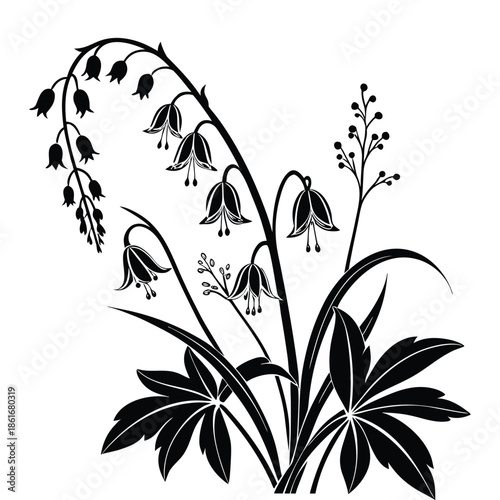 Black silhouette of disporum flower also known as fairy bells or nodding mandarin isolated on transparent background bloom